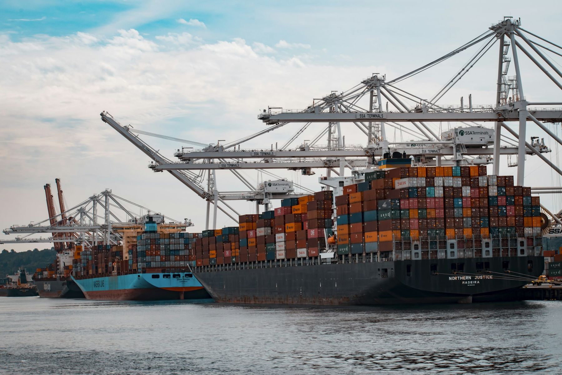 Container ships alongside terminal cranes